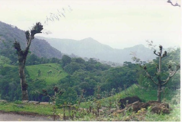 Ooty Coonoor cover
